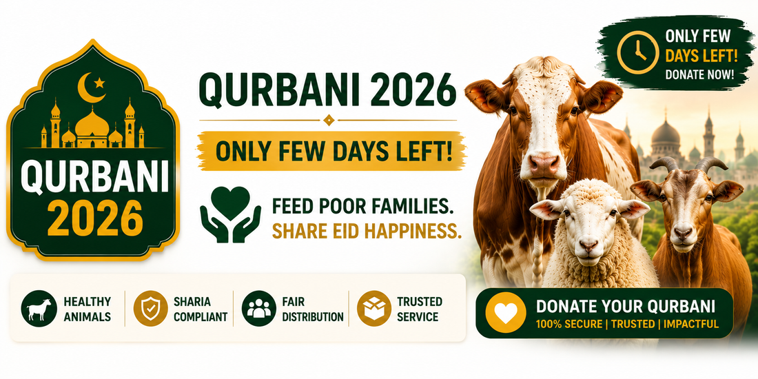 Small Qurbani 2026 banner featuring cow, sheep, and goat with green and gold Islamic design promoting urgent Eid al-Adha donations and feeding poor families.